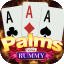 aa rummy